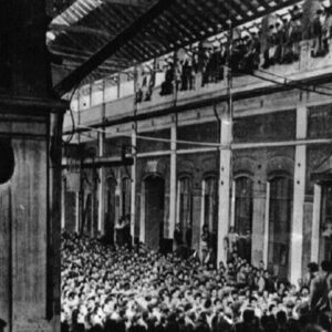 The Italian Factory Councils and the Anarchists