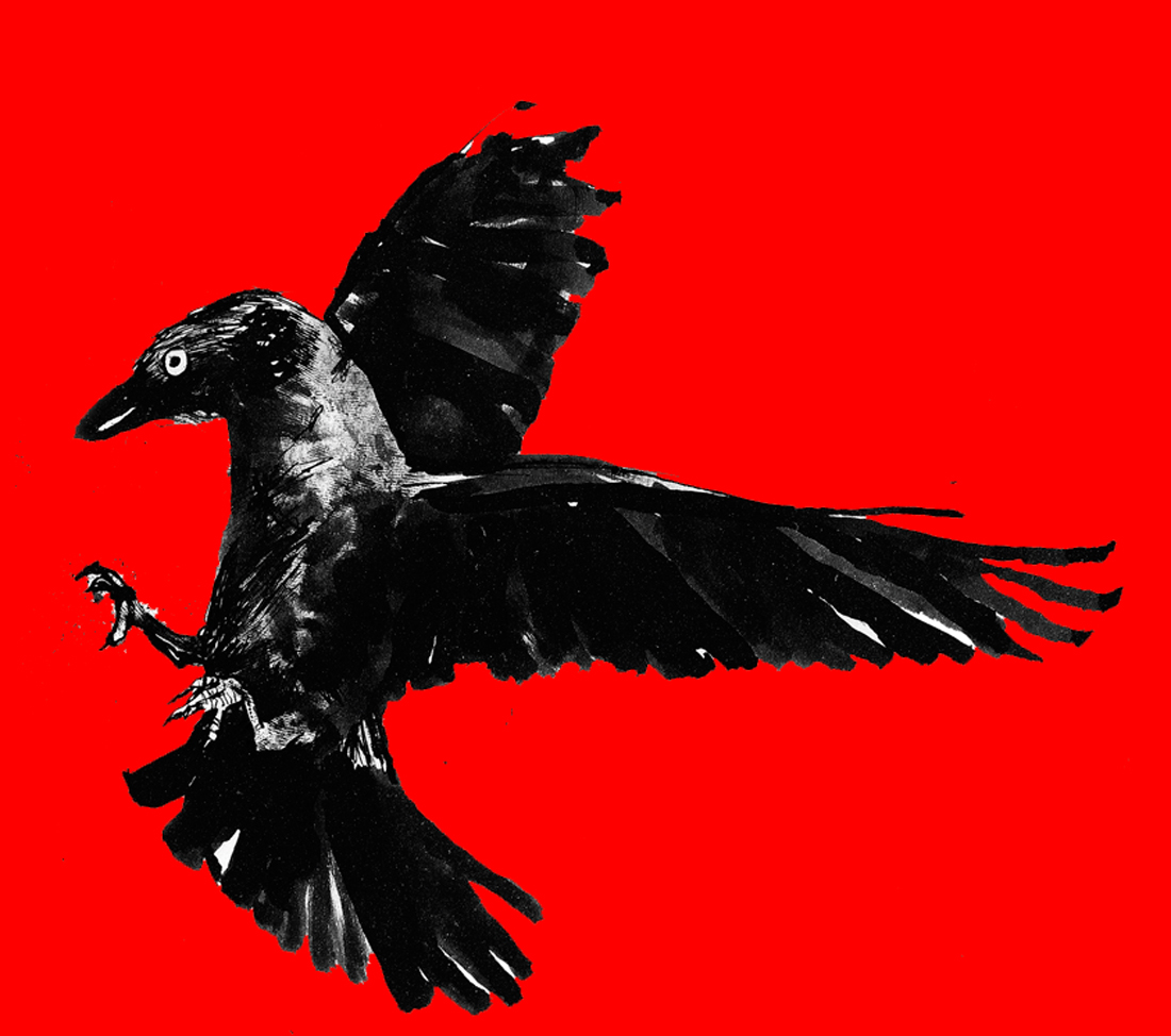 Jackdaw issue 6 out now!