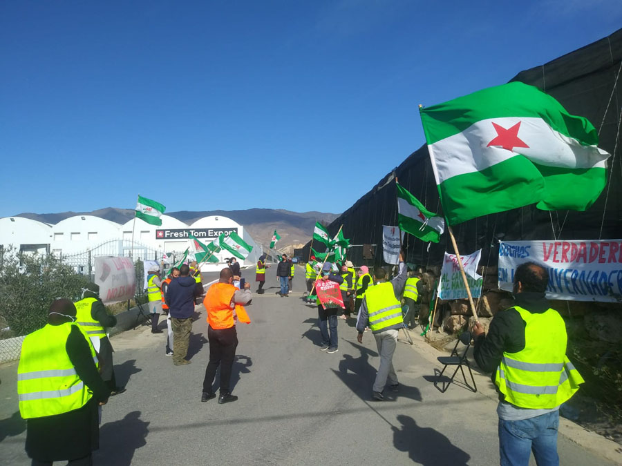 Spain: farm workers on indefinite strike