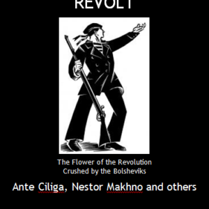 The Kronstadt Revolt: The flower of the revolution crushed by the Bolsheviks