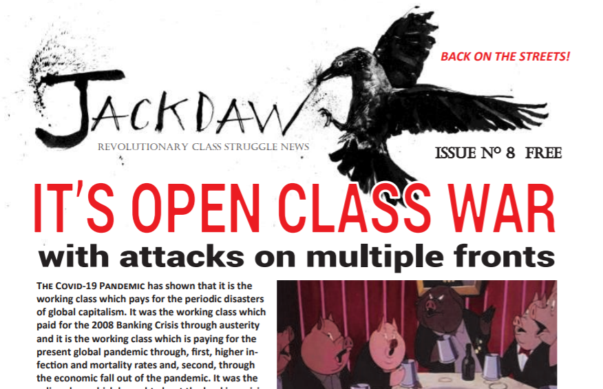 Jackdaw is back!