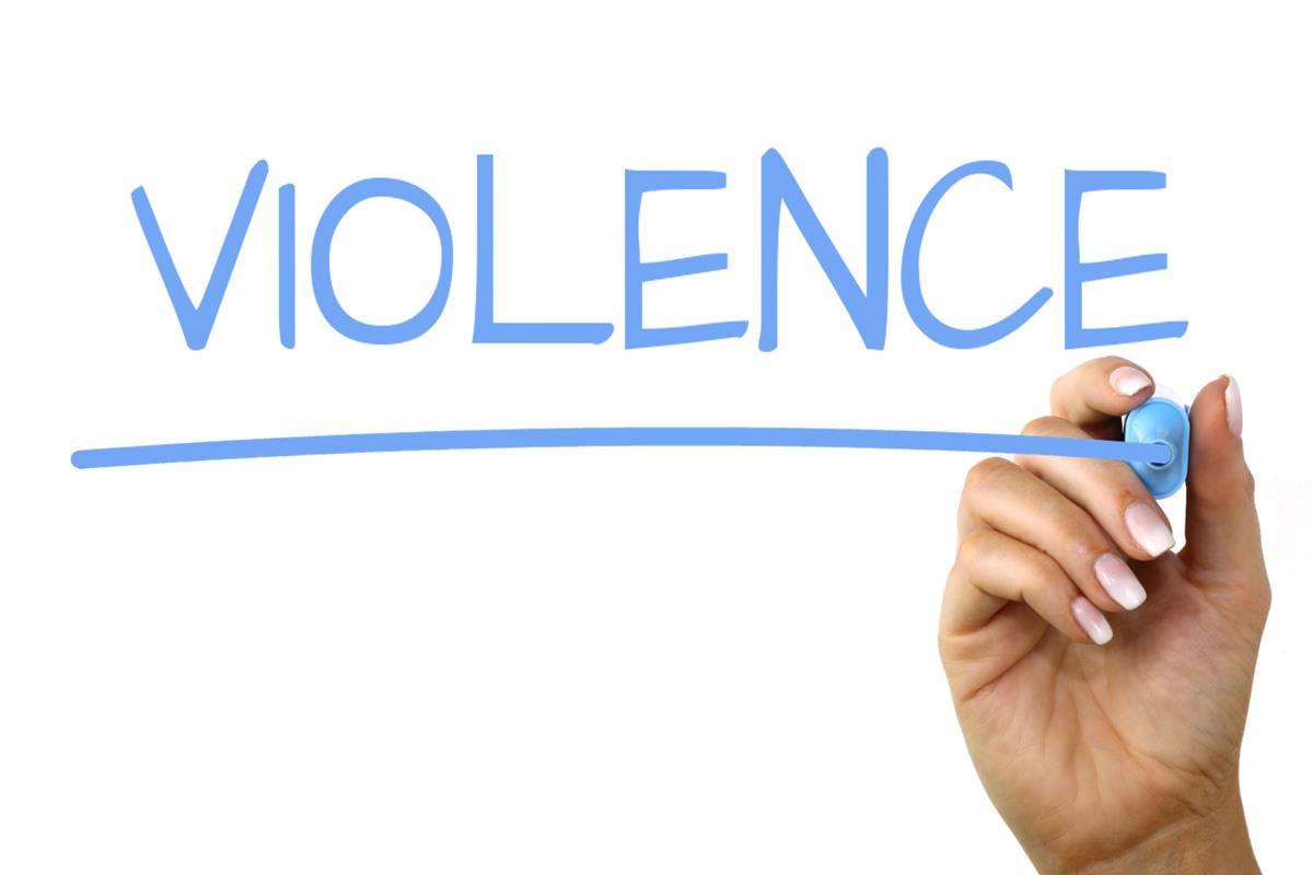 Violence Against Women and Girls and Gendered Violence 